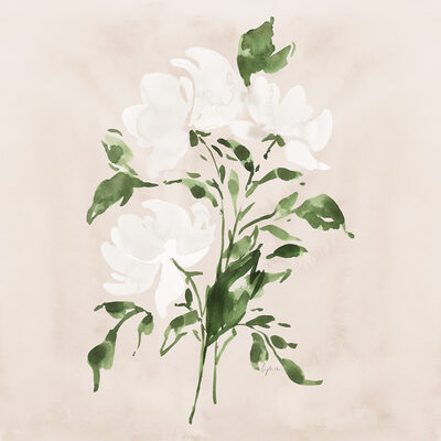 Image Not Available